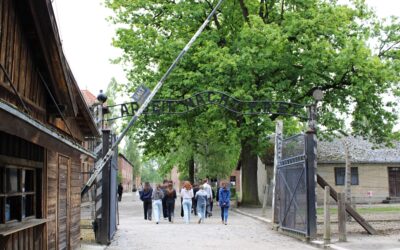 Osvětim po 80 letech